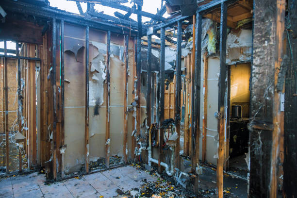 Professional Fire Damage Assessment technician working in Elko New Market, MN